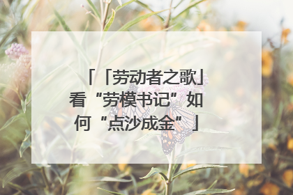 「劳动者之歌」看“劳模书记”如何“点沙成金”